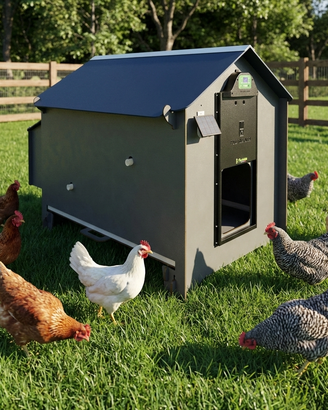 Pollaio casetta per 6 galline cassetto estraibile