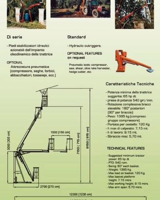 Cestello per potatura Bielevatore S1 CE