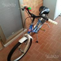 Bici 20 Maino