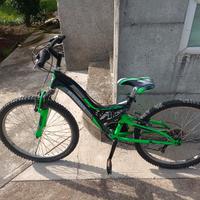 bici ammortizzata