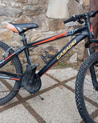 Mountain bike