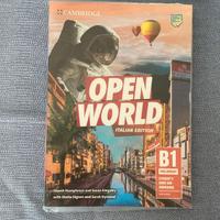 Open World Preliminary B1 (9781108565400)