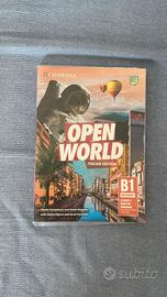 Open World Preliminary B1 (9781108565400)