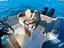 Immagine 10