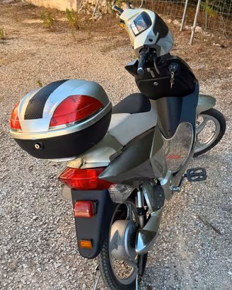 Bici elettrica 36v