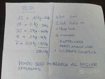 Pesi palestra