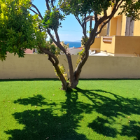 Estate 2026 lu bagnu castelsardo sardegna nord