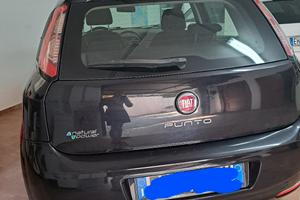 fiat punto natural power