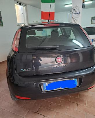 fiat punto natural power