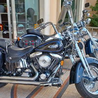 Harley davidson Heritage springer