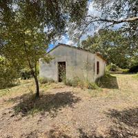 Casolare con 2.000 mq di terreno