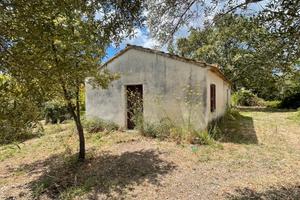 Casolare con 2.000 mq di terreno