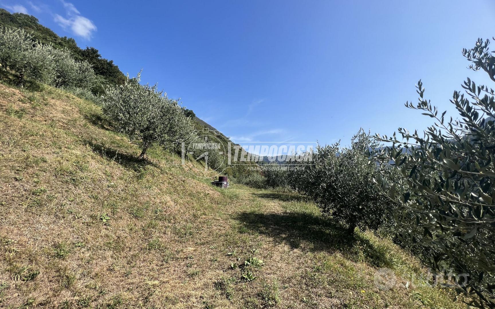 TERRENO AGRICOLO IN ZONA CENTRALE - Vista 4