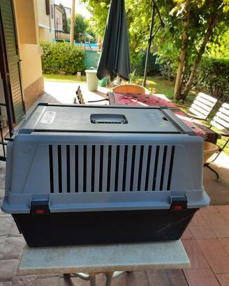 Trasportino per cane