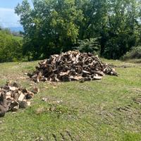 Legna di ulivo 50cm