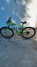 Mountain-bike 