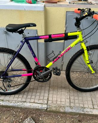Bicicletta mountan byke