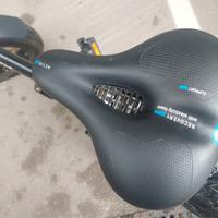 Bici elettrica pieghevole Affinity 