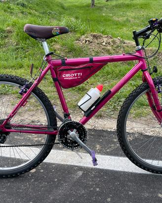 Bici mountain bike mtb 26