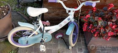 2 biciclette di bambini 