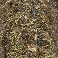 Foraggio con trasporto