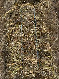 Foraggio con trasporto