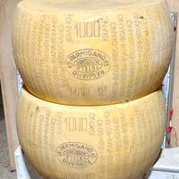 Forme di grana in plastica