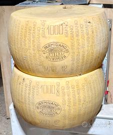 Forme di grana in plastica