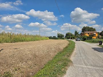 Terreno agricolo 2,23 ha Copparo Sabbioncello FE