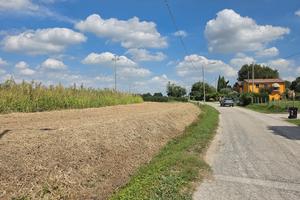 Terreno agricolo 2,23 ha Copparo Sabbioncello FE