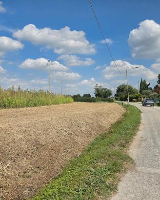 Terreno agricolo 2,23 ha Copparo Sabbioncello FE