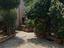 Immagine 6