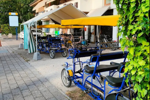 Attività di noleggio cicli