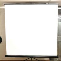 Telo proiettore 100 pollici (180x180 professionale