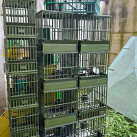 Gabbiette per uccelli