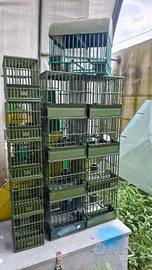 Gabbiette per uccelli