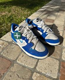 Scarpe Nike Dunk Low disrupt