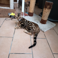 Feminucce & maschietti