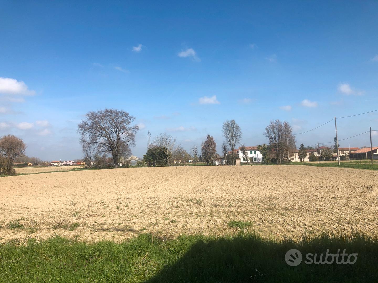 Rustico con terreno - Vista 4