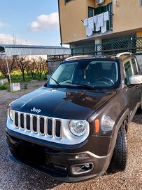 JEEP Renegade alluvionata - 2014