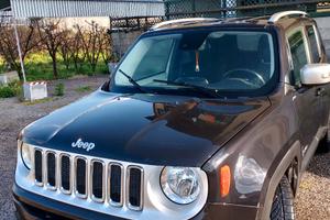 JEEP Renegade alluvionata - 2014