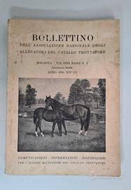BOLLETTINO ASS. NAZ. ALLEVATORI CAVALLO - 1936