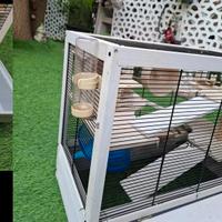 Gabbia criceti e roditori