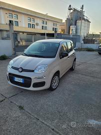 FIAT Panda 3ª serie - 2017