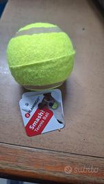 set per cani piccola taglia