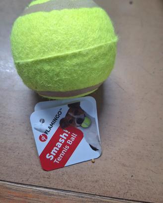 set per cani piccola taglia