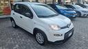 fiat-panda-1-0-firefly-s-s-hybrid