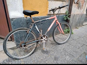 Bici BMX perfettamente funzionante 