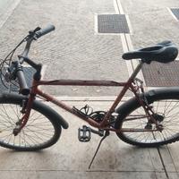 bici economica 