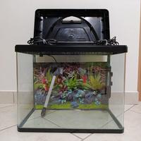 Acquario Billy 45 litri + accessori in foto 